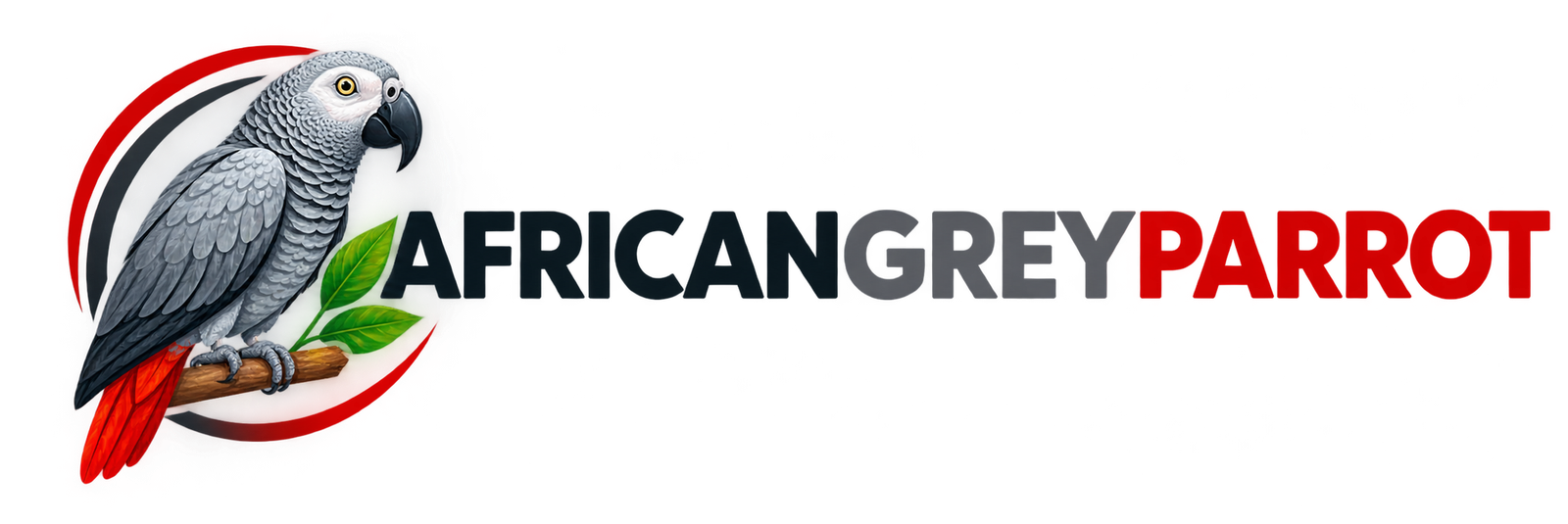 africangreyparrot